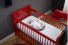 Babymoov Posicionador de sueño Cosydream _7136